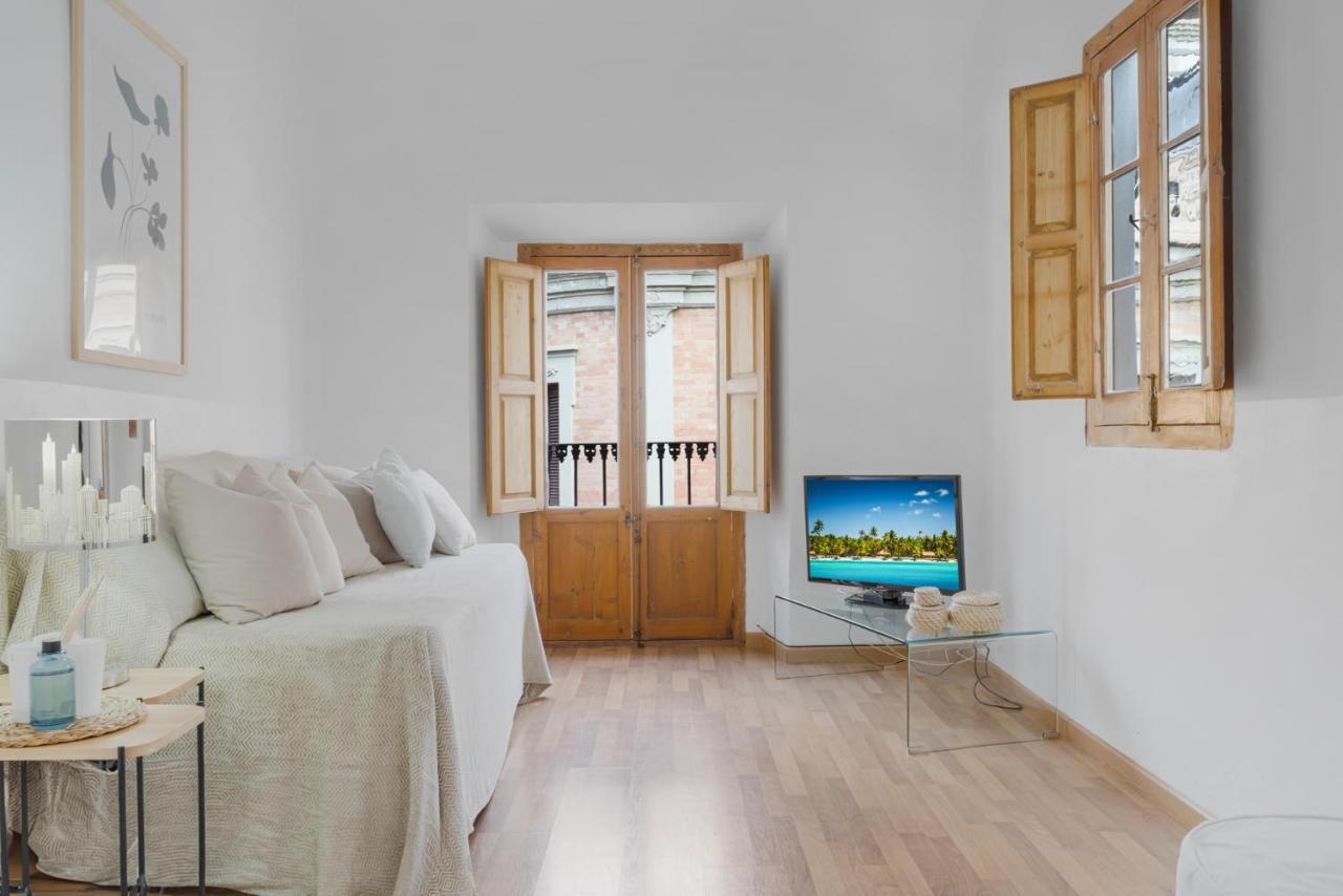 Penthouse In Malaga Historic Center By Costarentals - Mal01 外观 照片